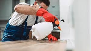 Best Pest Prevention Services  in Lyndhurst, VA